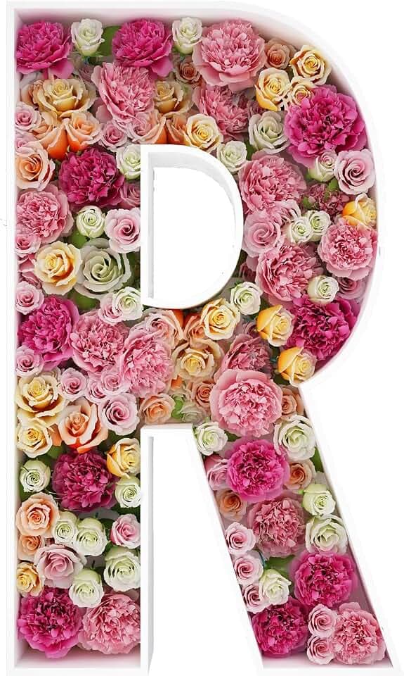 2FT DIY Mosaic Balloon Letter R Frame, Fillable Party Backdrop Decor