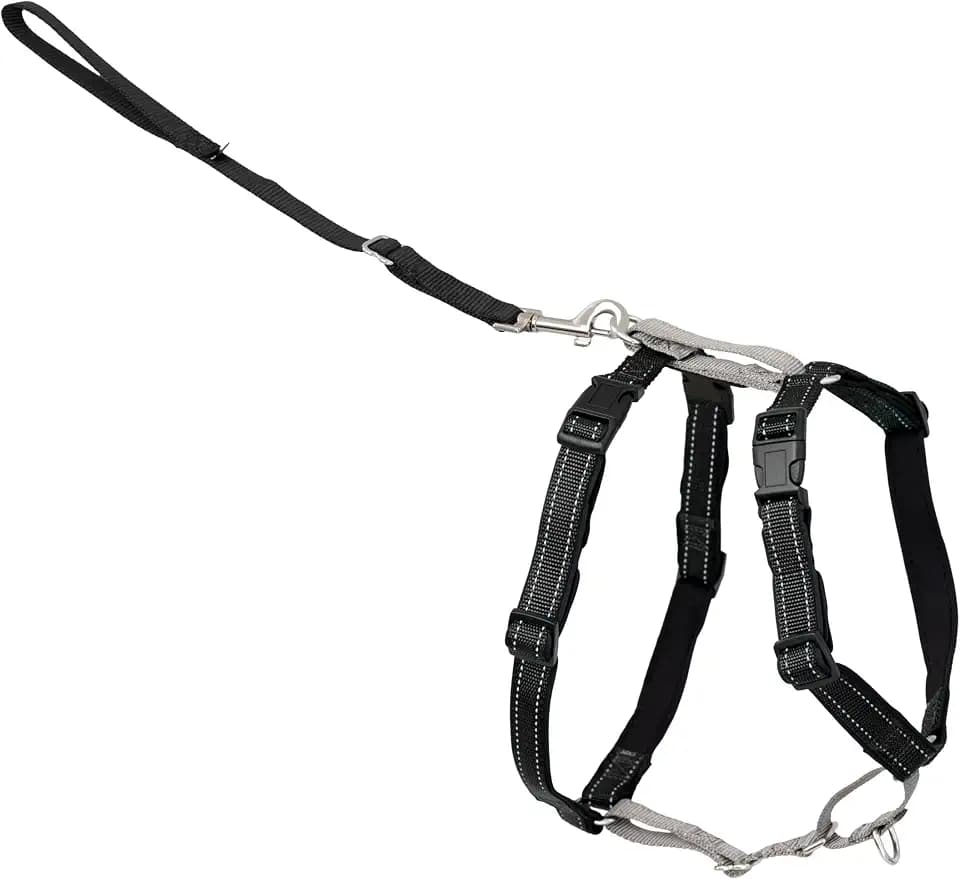 PetSafe 3 in 1 No-Pull Dog Harness - Walk, Train or Travel - Helps Prevent Pets from Pulling on Walks - Seatbelt Loop Doubles as Quick Access Handle - Reflective Accents - Extra Small, Black