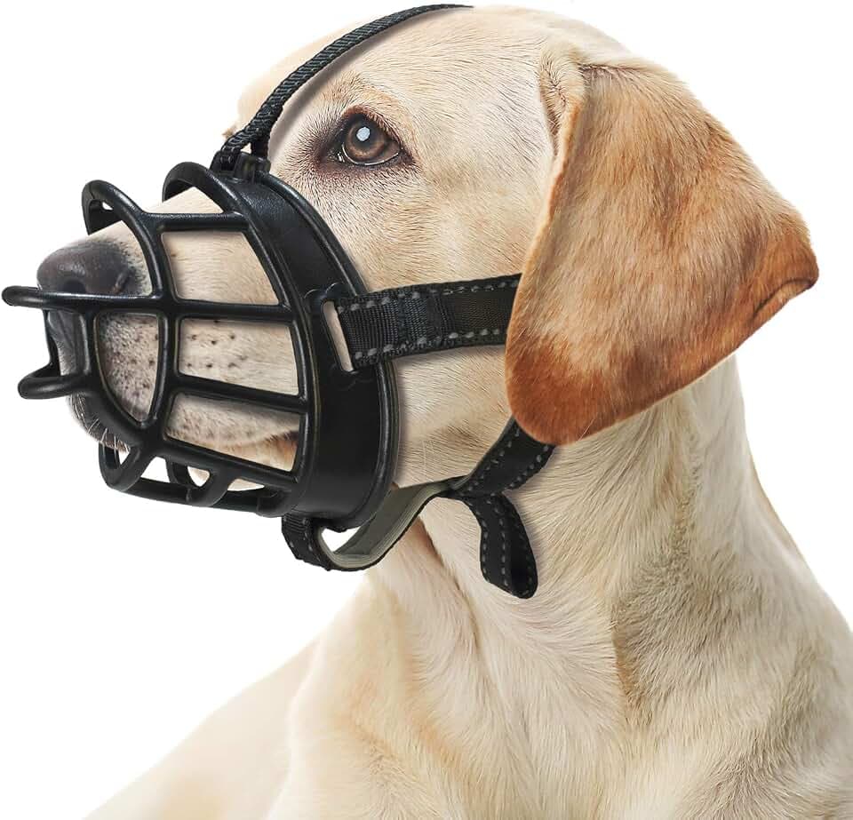Arquivet Flexibler Maulkorb aus Silikon, Größe XXL, für große Hunde, 10 x 33 x 47 – 61 cm, verhindert das Beißen des Hundes, Aber erlaubt dem Hund zu Trinken und Leckereien zu Trinken – Beißfest