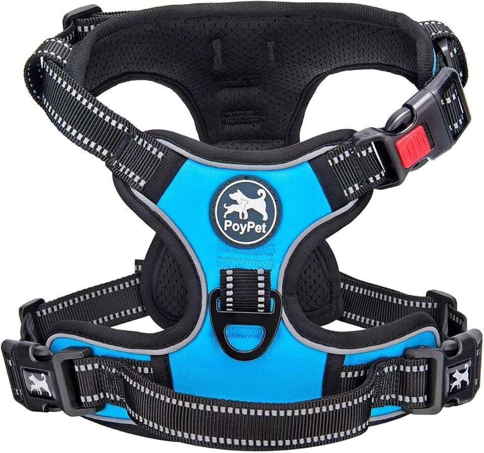 PoyPet Keine Pull Hundegeschirr Front Reflektierende Pet Weste für Hunde mit Einfache Kontrolle Griff und Rückseite perfekt für den täglichen Training, Walken, Running(Blau,M)