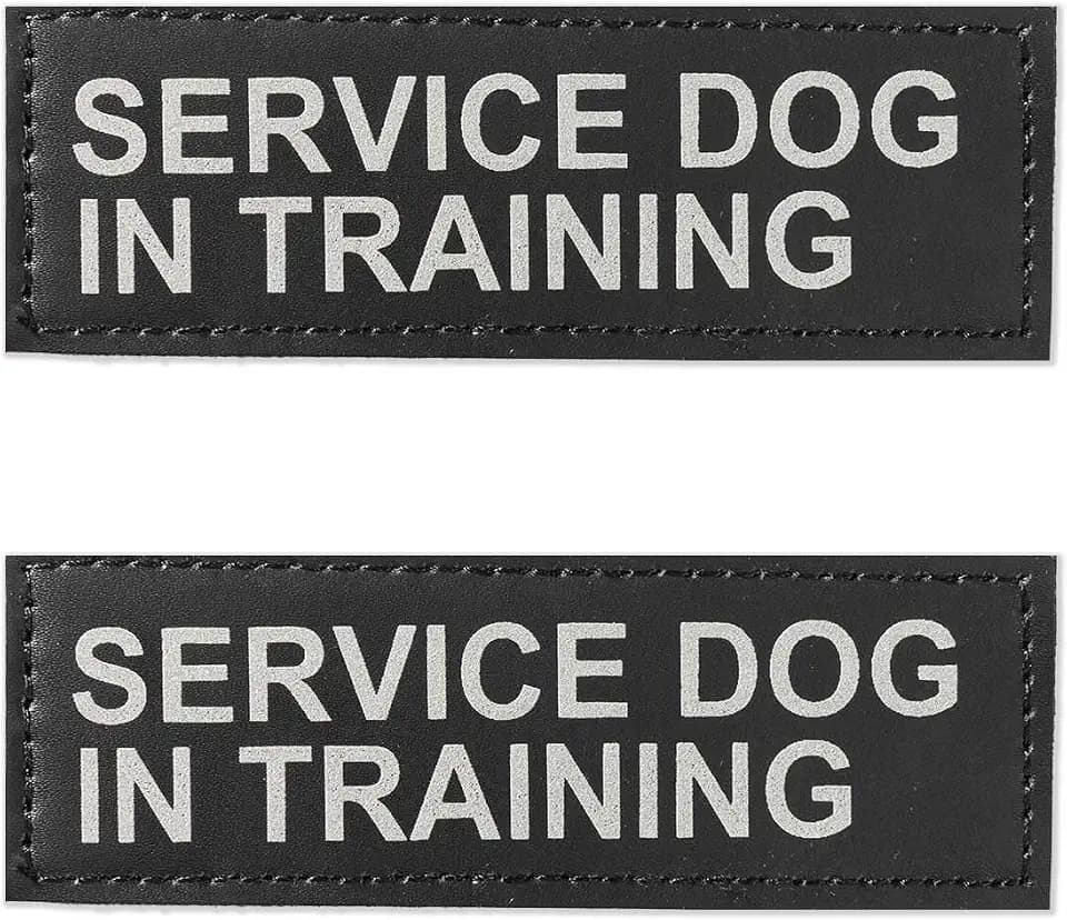 Excellent Elite Spanker 2 Pcs Magic Sticker Morale Patch Reflective Service Dog in Training Patch in Training Puppy for Dog Harnesses & Vests