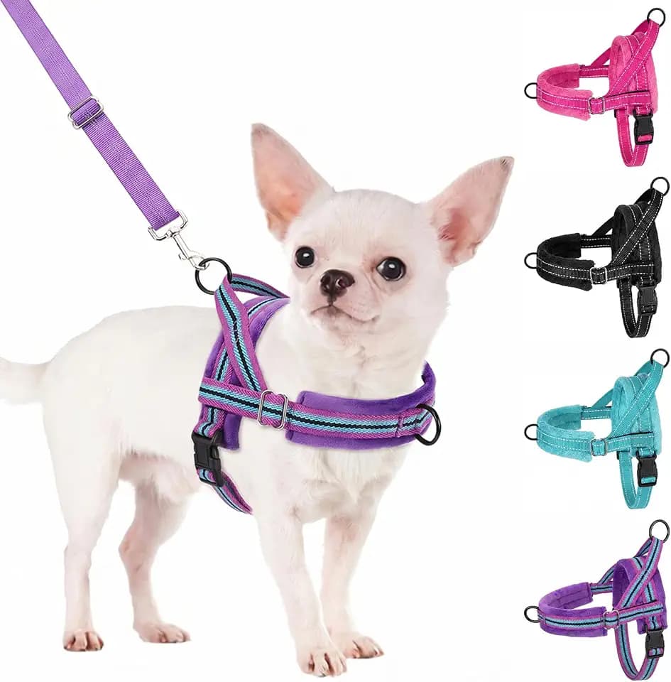 SlowTon No Pull Small Dog Harness and Leash Set with Front Clip
