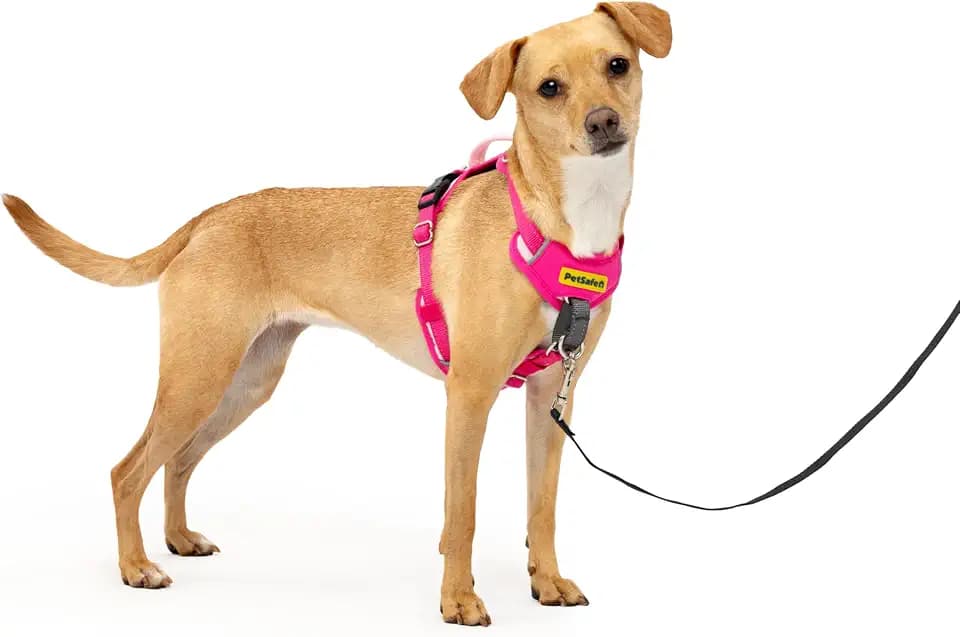 PetSafe Easy Walk Comfort No Pull Dog Harness, Pink, Extra Small