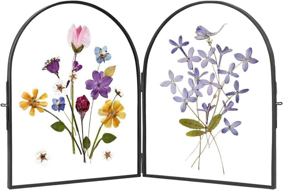 REDHUGO Double Glass Frame for Pressed Flowers Arc Black, 8×10 Inches