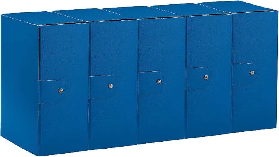 Esselte C35 Eurobox Projektmappe mit Knopfverschluss, 25 x 35 cm, Rücken 15 cm, blau, 5er Pack, 390335050