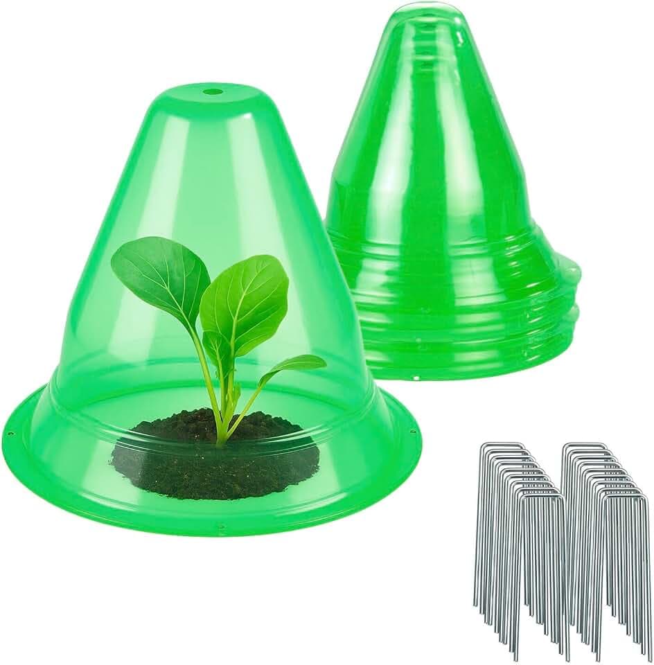 Maximex Pflanzenhut, 6er Set, Schutz vor Frost, Vögeln und Schnecken im Garten, Anzuchtglocken für Setzlinge, Ø 27 x 23,5 cm, PET-Kunststoff, Grün