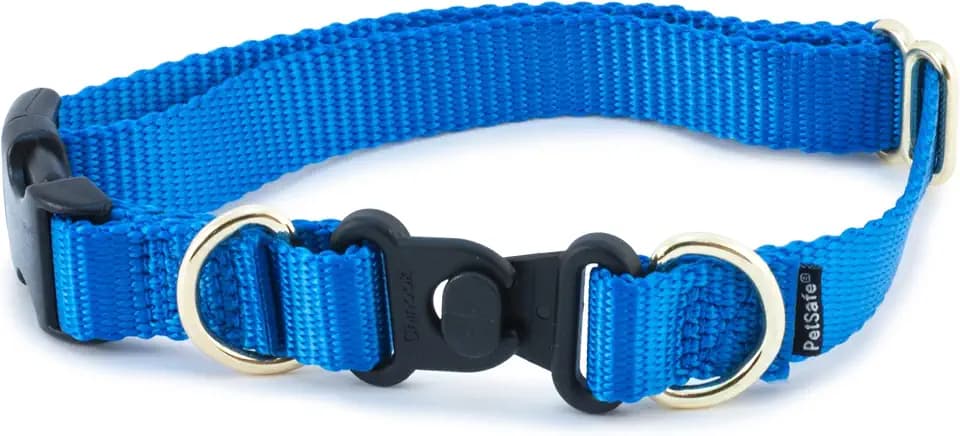 PetSafe KeepSafe Break-Away Collar, Royal Blue, 1 in Wide, Medium