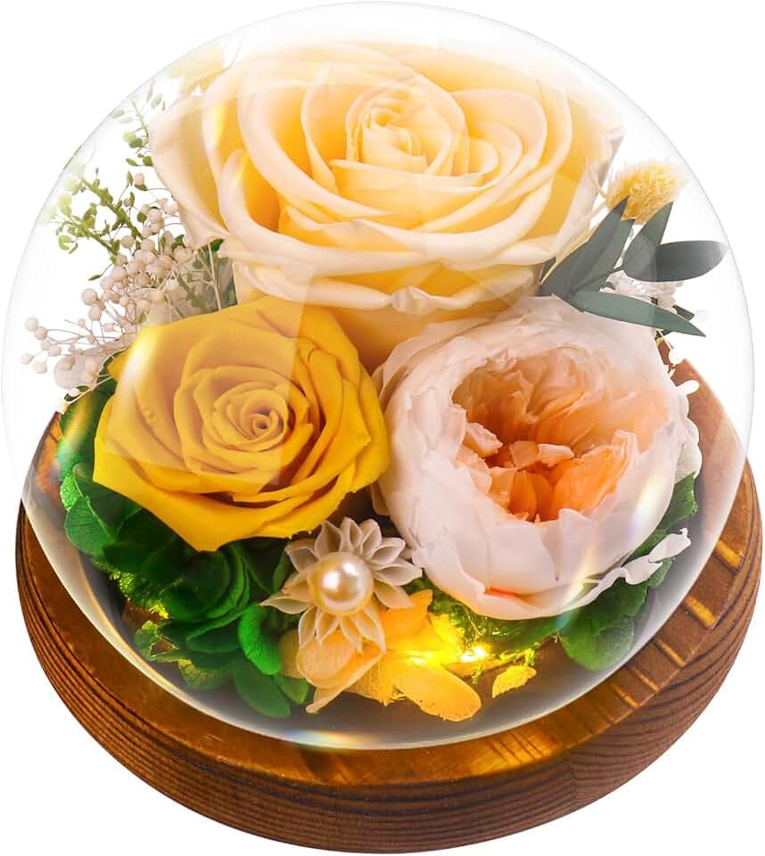 Rose Geschenke für Frauen, Ewige Infinity Rosen im Glas, Konservierte Blumen Geburtstagsgeschenk Mama Freundin,Geschenk für Frau Freundinnen Geburtstag für Jahrestag Geschenk für Sie, Champagnerrose