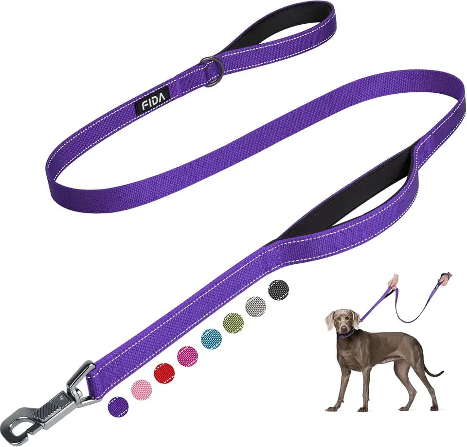 Fida Heavy Duty Dog Leash for Medium Large Dogs, 5 FT, Dual Padded Handles