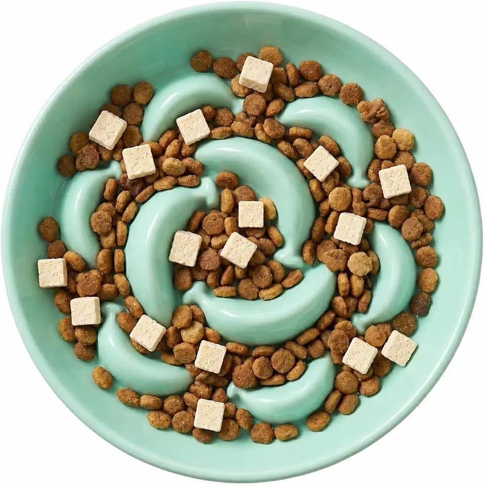 Ceramic Slow Feeder Cat Bowl, 6.3'' Wide Whisker Friendly Cat Puzzle Feeder