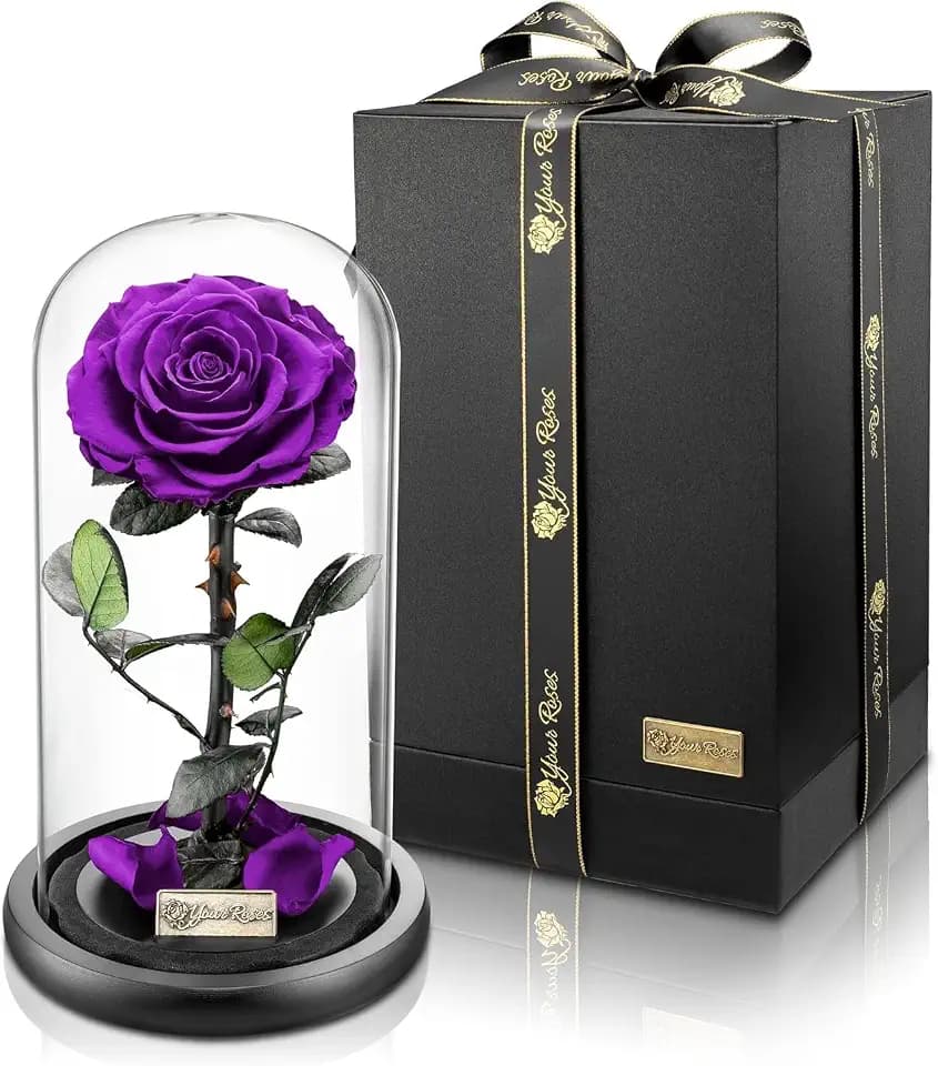 YourRoses® echte Premium Rose im Glas mit Einer wunderschoenen Geschenkbox | Lange Haltbarkeit & edles Geschenk als Liebesbeweis | EIN Geschenk vom Herzen