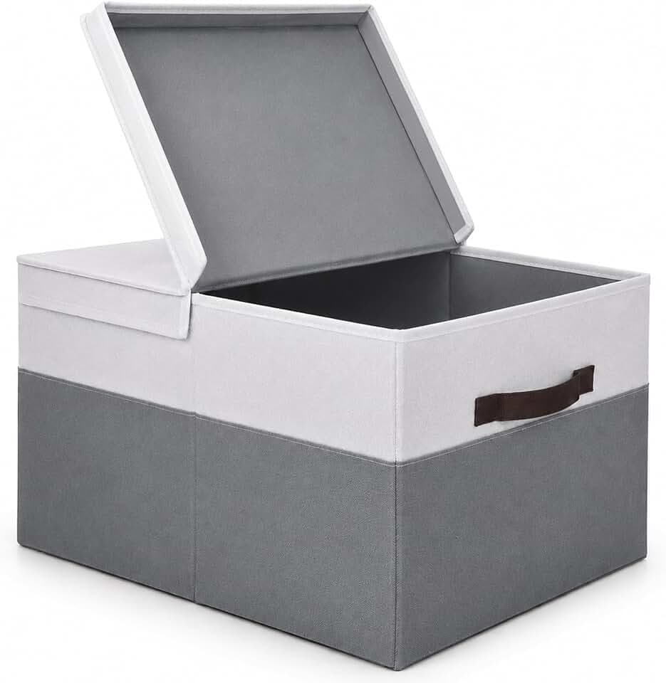 THMINS Aufbewahrungskorb mit Deckel 55 L, Faltbare Stoffboxen