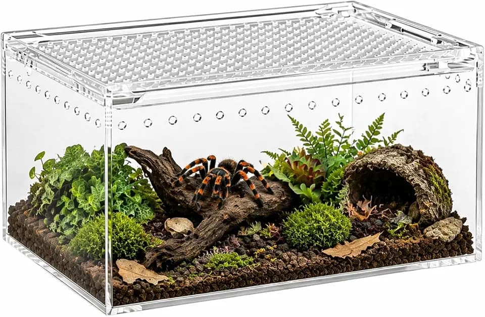 Mini Terrarium aus Acryl, ausbruchsichere Insektenbox für Reptilien