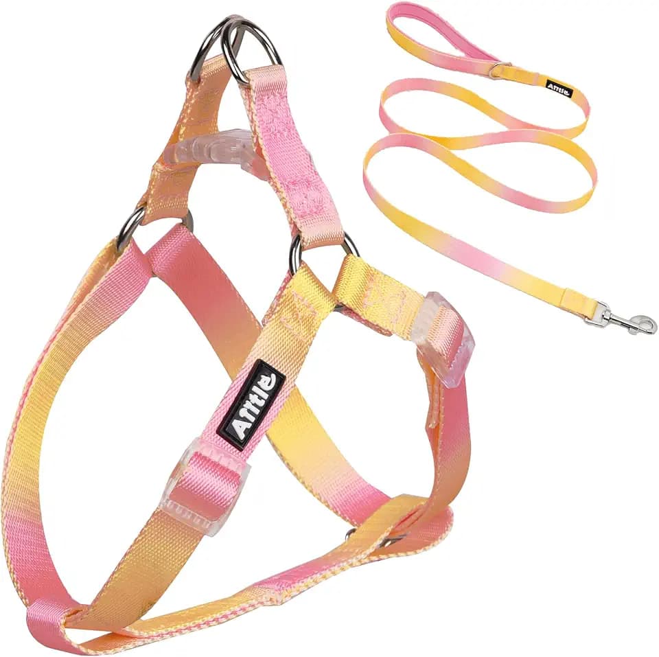 AIITLE Hundegeschirr und Leine, kein Ziehen, weich, verstellbar, Nylon, Welpenweste, für Spaziergänge im Freien, Training, Laufen für extra kleine Hunde, Gelb-Rosa, Farbverlauf, XS