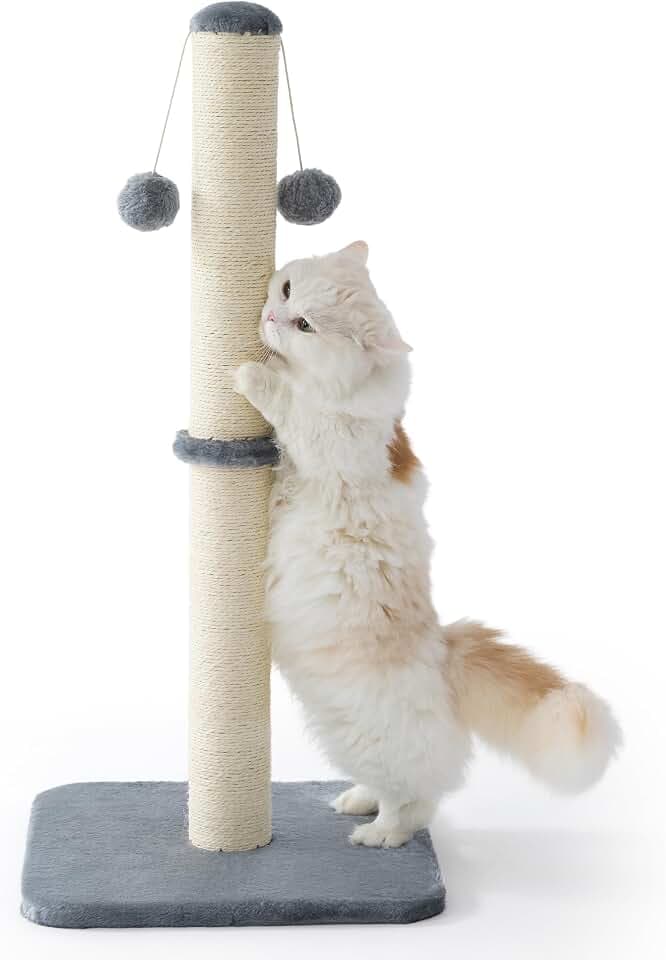 Lesure Kratzsäule Mittelgroßer für Katzen Indoor 40x40x86cm