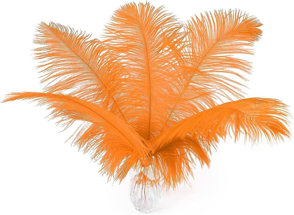 Ballinger Orange Large Ostrich Feathers Bulk for Vase,24Pcs,10-12inch