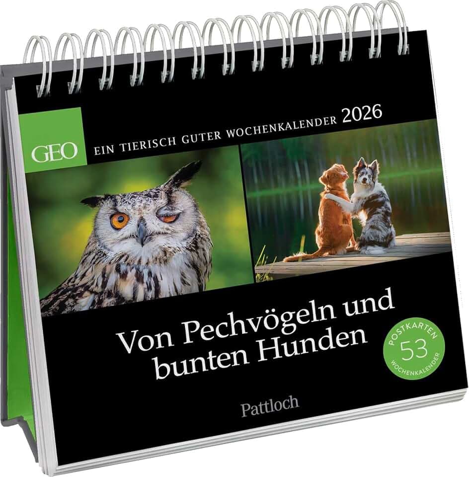 Postkartenkalender 2026: Von Pechvögeln und bunten Hunden: Ein tierisch guter Wochenkalender | Zum Aufstellen, Tischkalender mit Spiralbindung und 53 Postkarten zum Heraustrennen