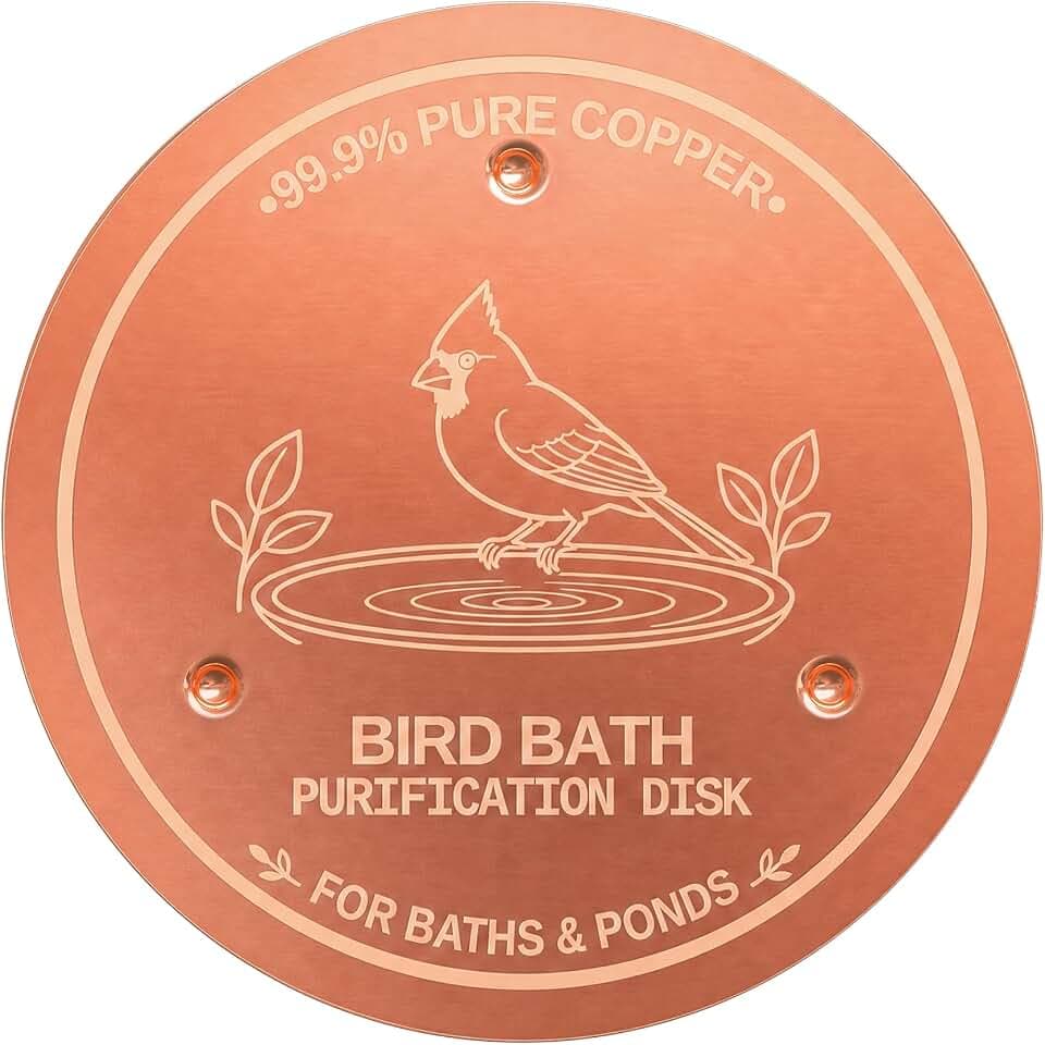 2-Pack Copper Disc for Bird Bath, 99.9% Pure Copper (Cardinal)