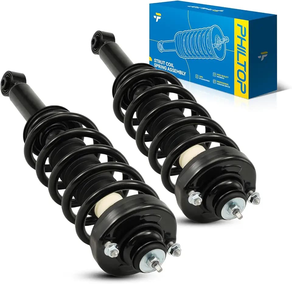 PHILTOP 2-Pack Rear Strut Assembly for 2011-2019 Journey FWD 2.4L/3.6L