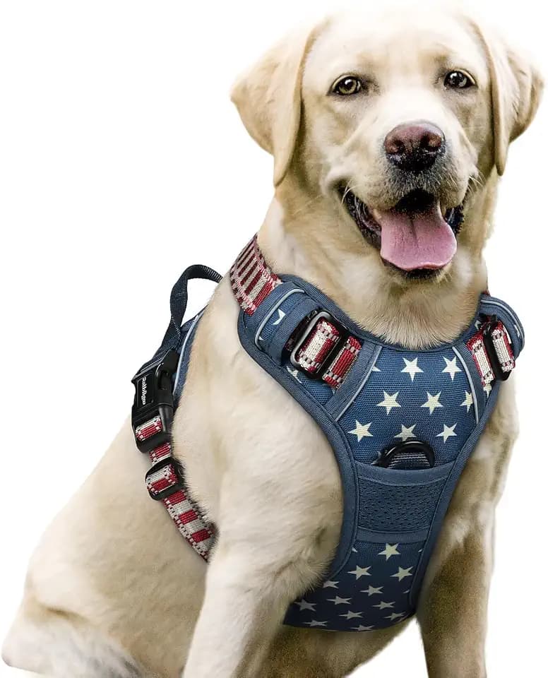 rabbitgoo Dog Harness, No Pull for Large Dogs with 2 Leash Clips, Pet Vest