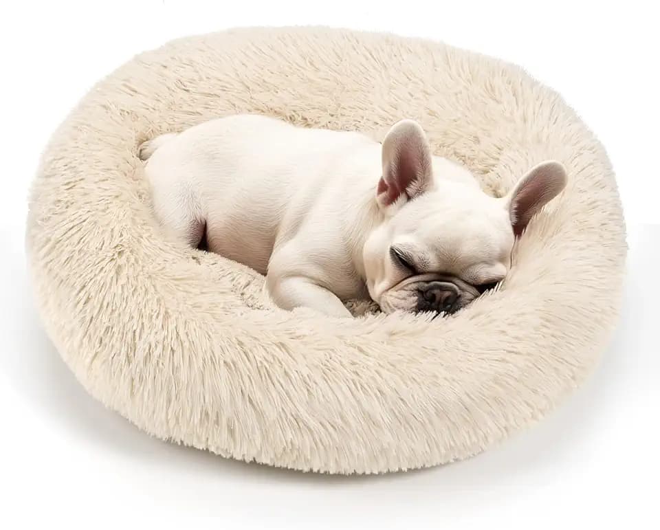 Hoewina Dog & Cat Bed, 20in Cat Beds for Indoor Cats (Light Brown)