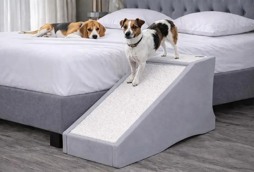 Pet Gear Stramp Stair and Ramp Combination for Dogs/Cats, Sea Salt