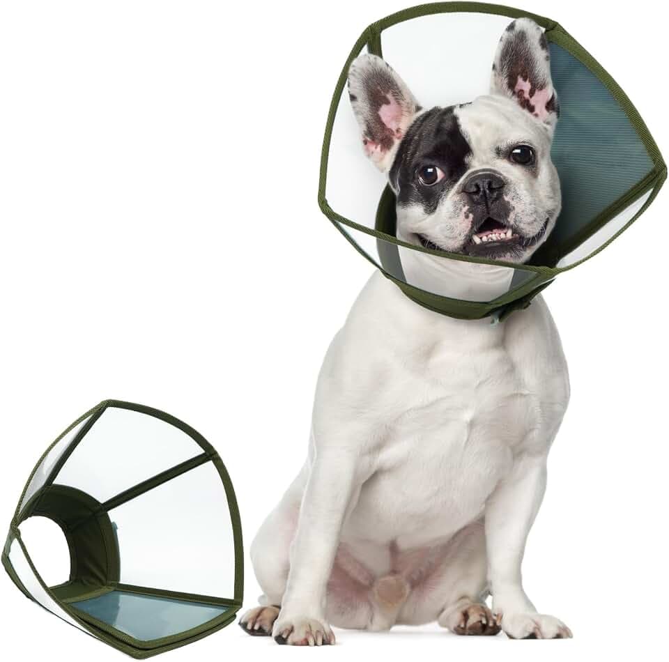 Halskrause Hund - Transparenter Hundekragen Leckschutz Faltbarer Schutzkragen für die Genesung, Anti-Kratz Hundetrichter für Hunde nach OP, Armeegrün M