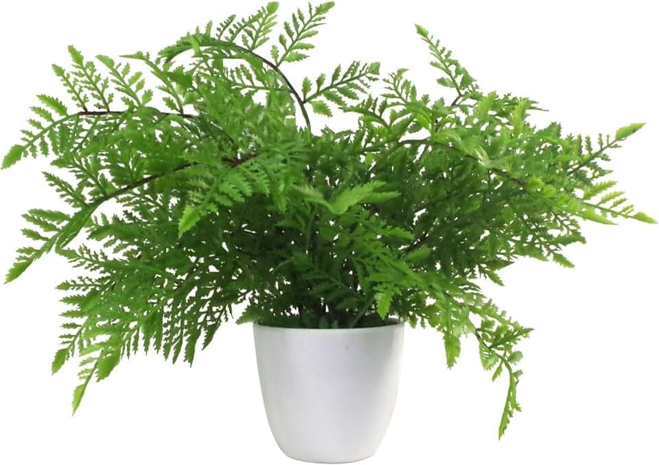Leaf Künstlicher Farn in Topf, 30 cm, Southern Wood Fern