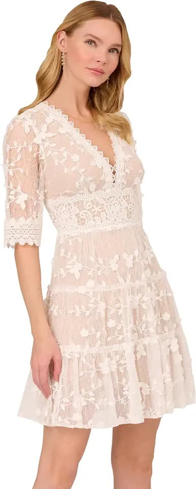 Adrianna Papell Lace Embroidery Dress
