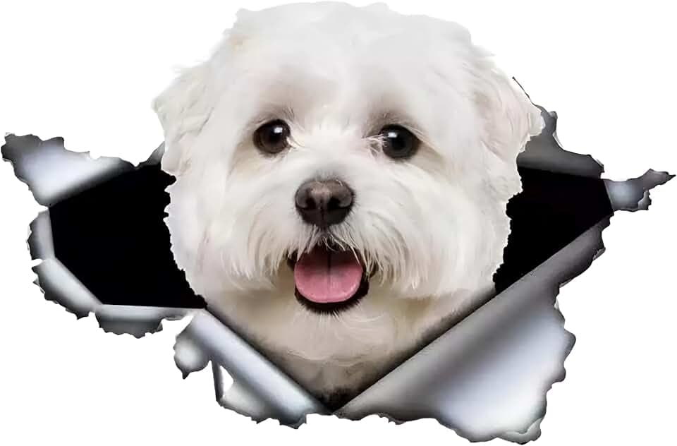 Autoaufkleber 25cm(9.8 Inch) Malteser Aufkleber Lustig Maltese Car Sticker Haustier Hund Wasserdichte Aufkleber 3D Zerrissen Metall Reflektierende Aufkleber Stoßstange Lustig Dekor