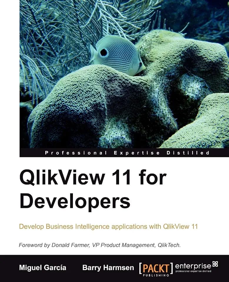 QlikView 11 for Developers (English Edition): This book is smartly built around a practical case study - HighCloud Airlines - to help you gain an ... using QlikView. A superb hands-on guide