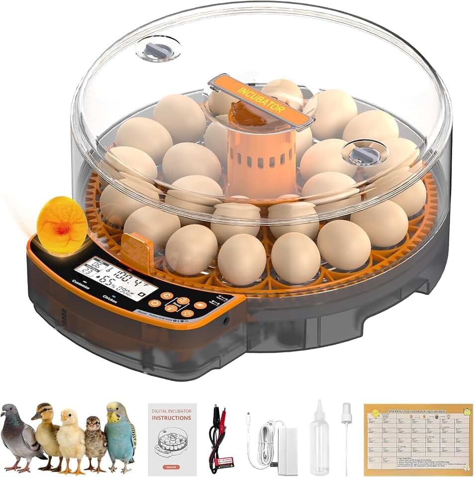 AsFrost Automatic Chicken Egg Incubator, Egg Incubator 24 Eggs