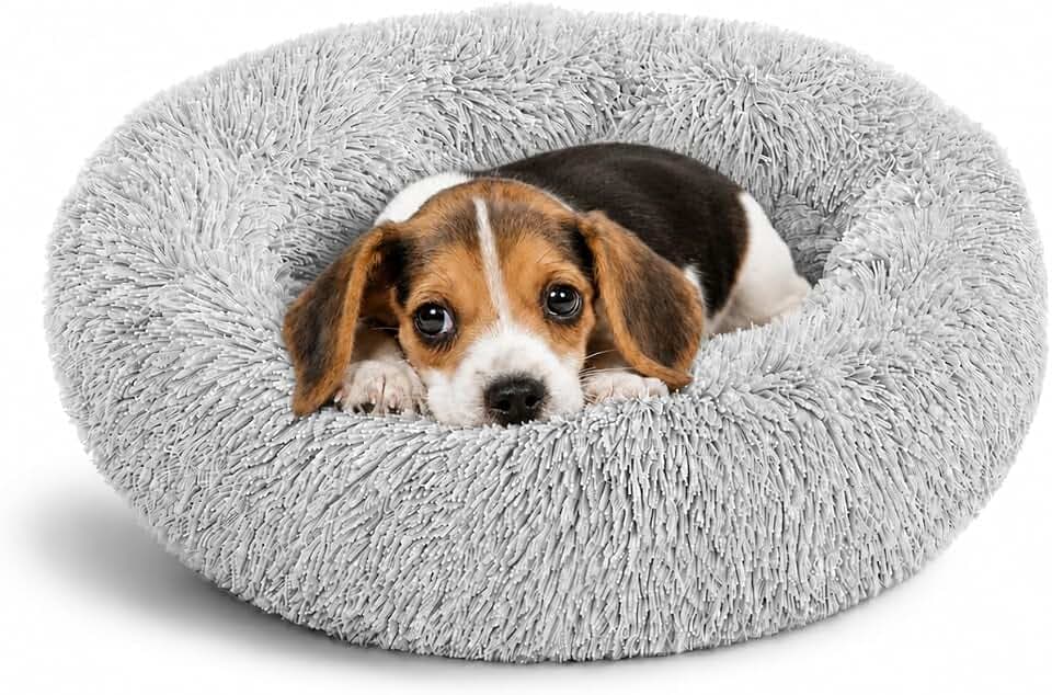 Whiskers & Friends Cat Beds for Indoor Cats & Small Dog, Fluffy Cat Bed