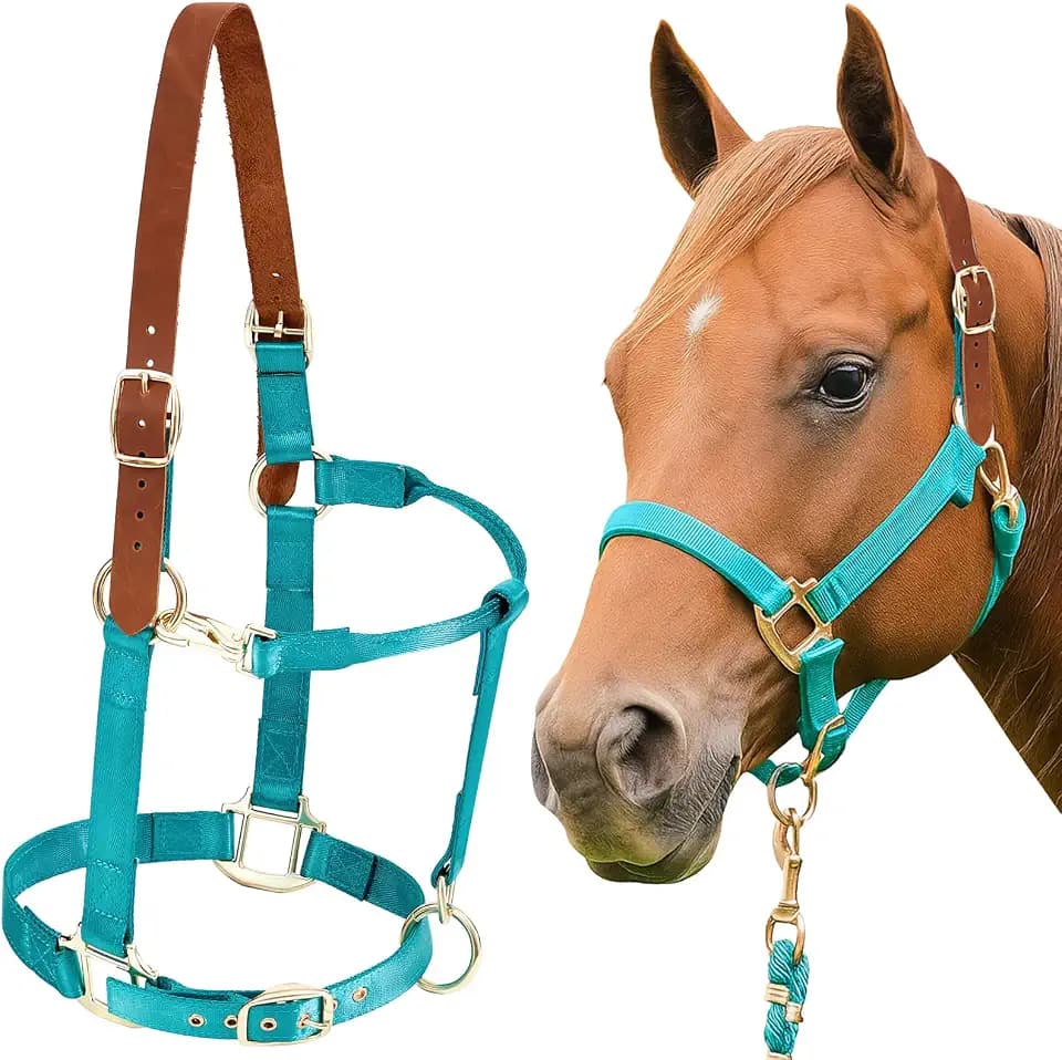 Leather Halter for Horses, Equine Breakaway Nylon Rope Horse Halter with Snap & Adjustable Chin and Throat Snap Hook Halters for Training, Show and Daily Use, Average Size