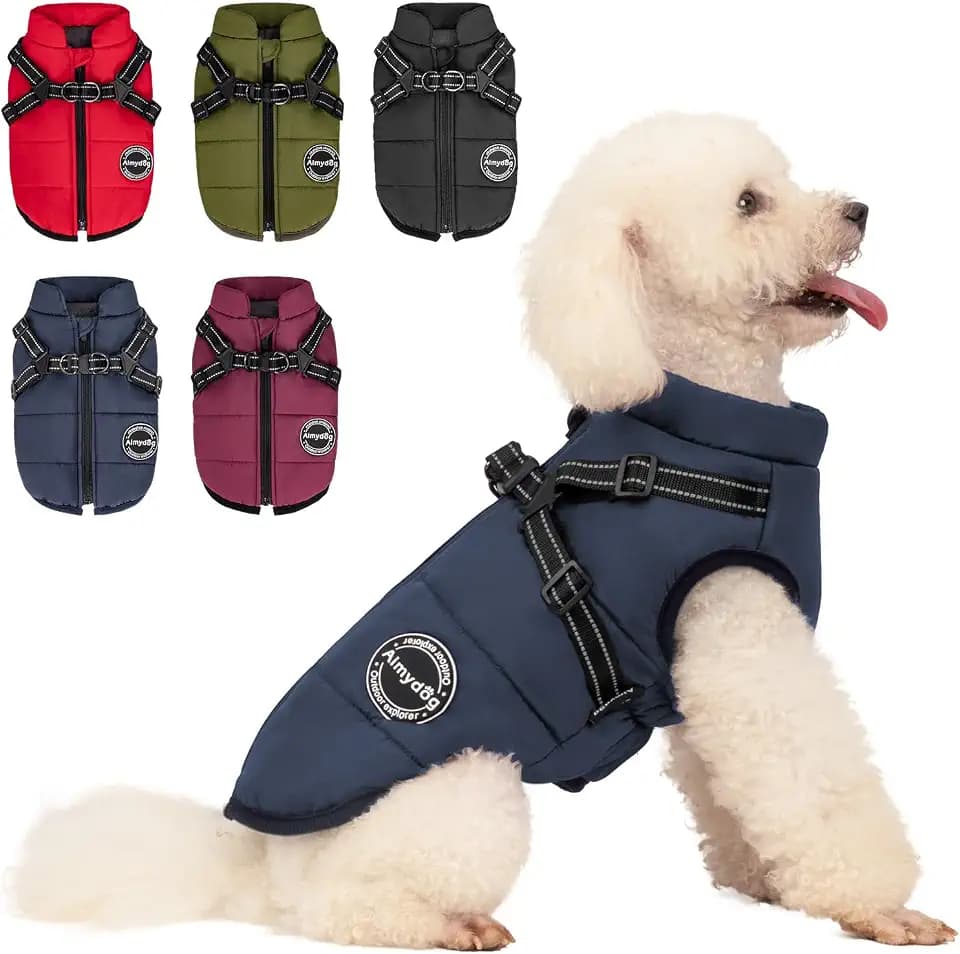Hundemantel Winter, Wärme Hundejacke Mit Brustgurt Gurt Winddichte mit bauchschutz, Haustier Outdoor Reflektierend Hundeweste mit Fleece Gefütterte für Kleine (Navyblau, M)