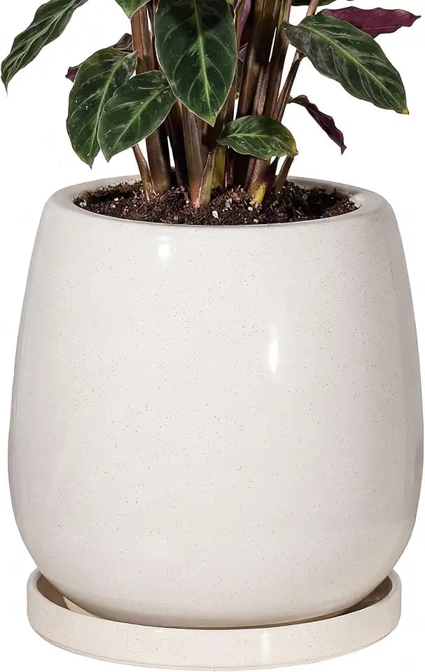 10.3 Inch Ceramic Glaze Plant Pot with Saucer, Flower Pots with Drainage Hole Mesh Net(Hemp-Gray Dot)