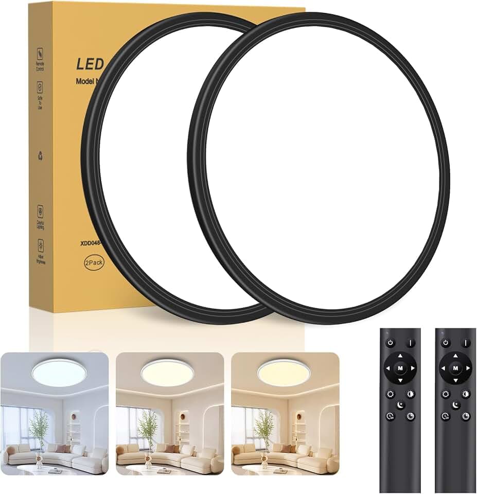 2 Stücke Deckenlampe LED Ultradünne Deckenleuchte mit Fernbedienung Dimmbar (3000K-6500K), 24W 2800LM, IP44 | Ø30cm (2,4cm) | Küchenlampe Wohnzimmer, Schlafzimmer, Badezimmer Schwarz