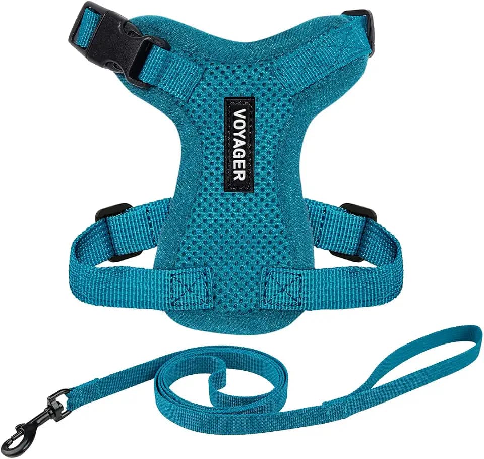 Voyager Step-in Lock Cat Harness & Leash Set - Turquoise, S