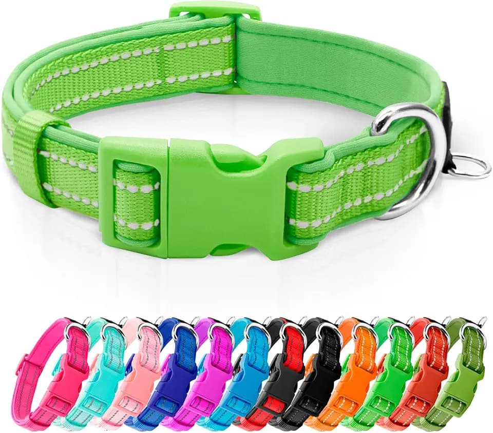 azuza Reflective Dog Collar, Neoprene Padded Small Dog Collar, Green, S