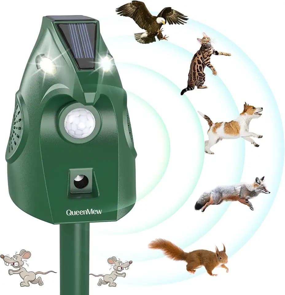Katzenschreck für Garten, Katzenschreck Ultraschall Solar wasserdichte, Garten Katzenabwehr Marderschreck USB Aufladung, Automatisch Katzen Tiervertreiber für Hunde, Tauben, Kaninchen, Vögel, Fuchs