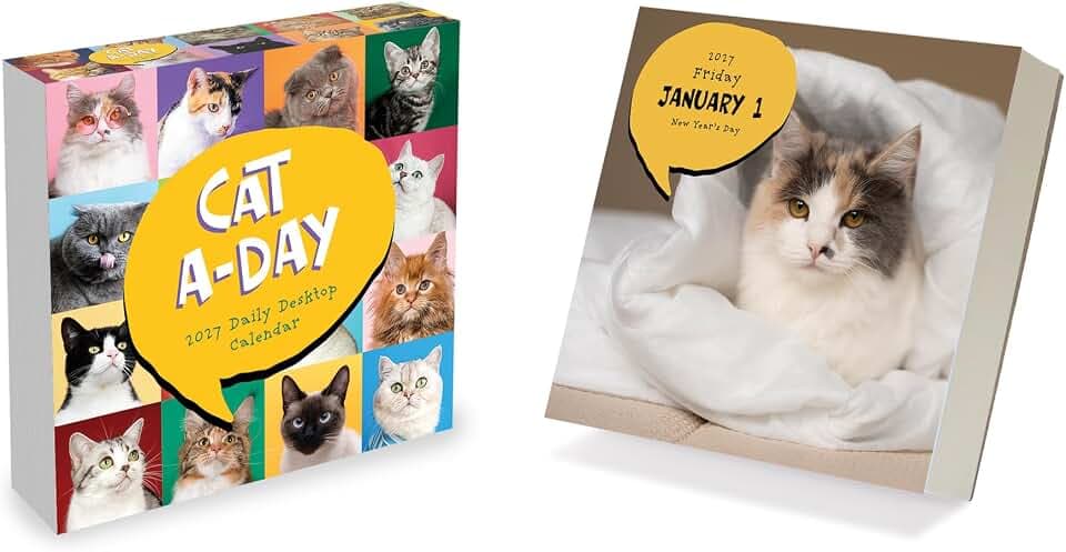 TF Publishing 2027 Cat A Day Daily Desktop Calendar - 5.25 in x 5.25 in