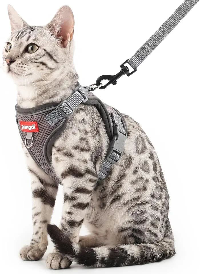 Cat Harness and Leash Set, Lightweight Air-Mesh Cat Vest, Grey, XL