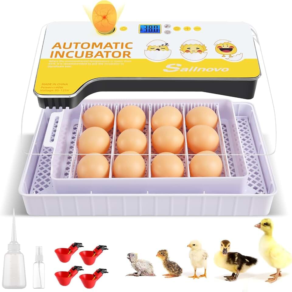 12 Besitzer Inkubator