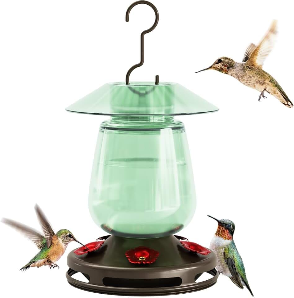 Auslar Glass Hummingbird Feeder for Outdoors, 16 Oz Bird Nectar Feeder