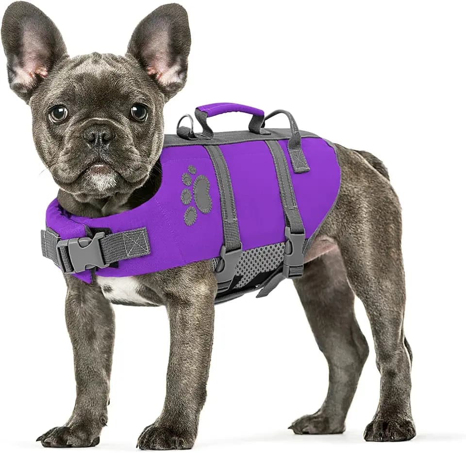 Queenmore Small Dog Life Jacket, Ripstop Safety Dog Life Vest for Swimming