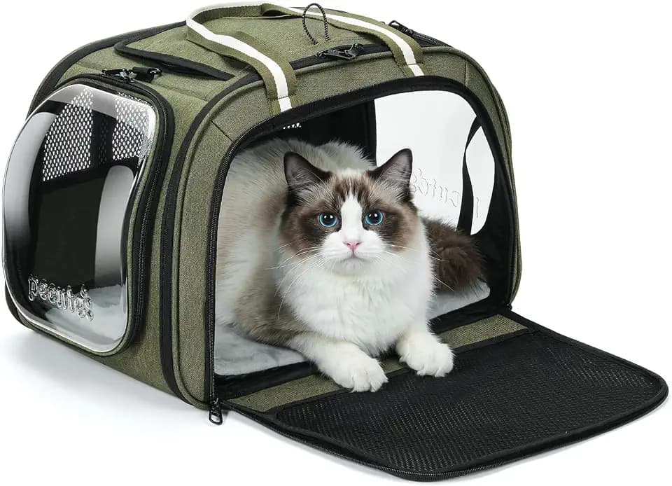 pecute Katzentransporttasche mit Sichtfenster, atmungsaktive Katzentransporttasche, stabile Haustiertransporttasche mit Sichtfenster (Grün, L (46×36×34cm))