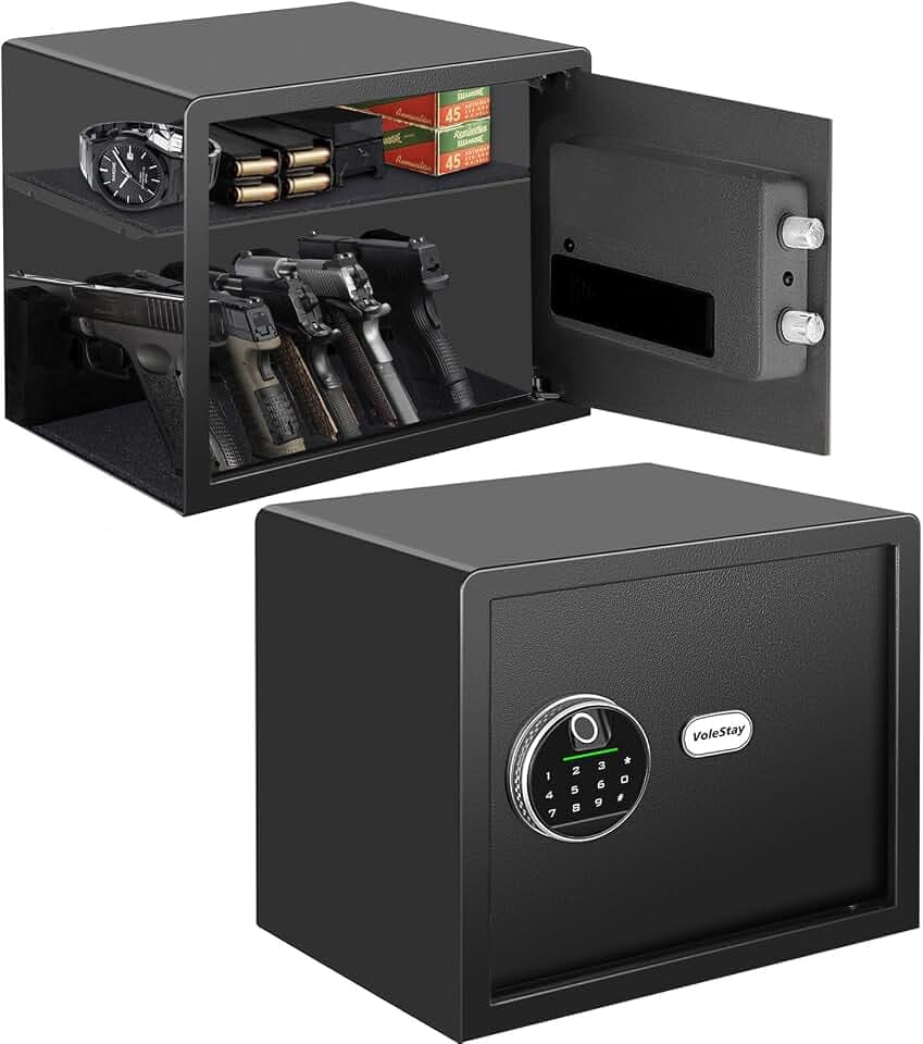 Biometric Home Safe, Fingerprint Gun Safe Lock Box,Money Box for Jewelry Handgun Cash Valuables,Perfect for Home/Office/Hotel, Black, 1.2 Cubic Feet