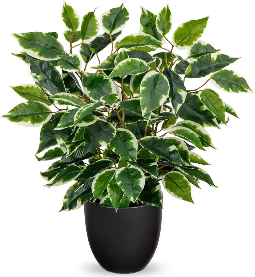 Hollyone Künstliche Pflanzen Wie Echt Ficus 40cm Künstliche Ficus Pflanzen im Topf Grünpflanze Deko Zimmerpflanze für Fensterbank Wohnzimmer Badezimmer Tischdekoration, Hellgrün