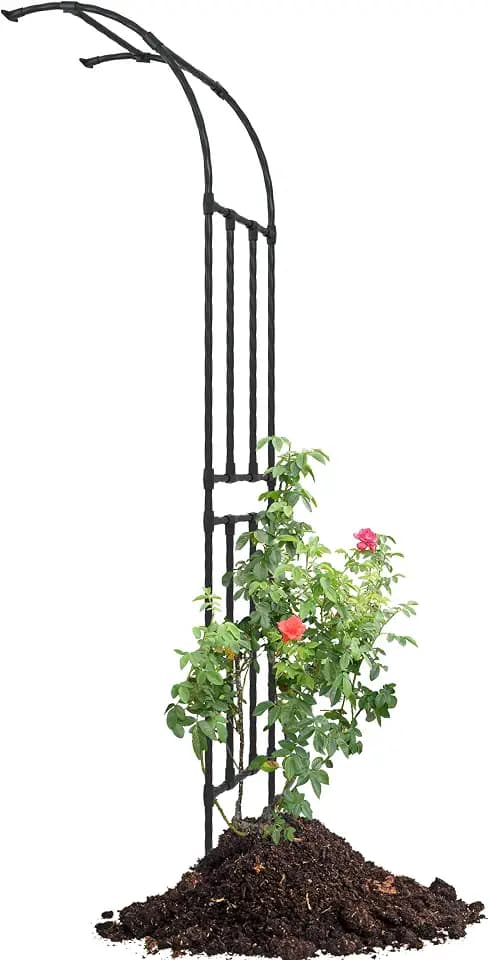 Half Arch Trellis - Garden Arch Trellis Size: 24in(L)*94.5in(H)