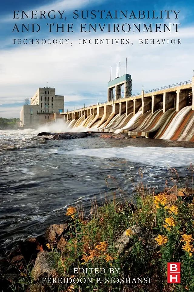 Energy, Sustainability and the Environment: Technology, Incentives, Behavior